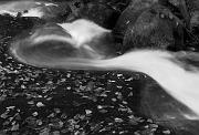 Fallsway Tr 7102bw